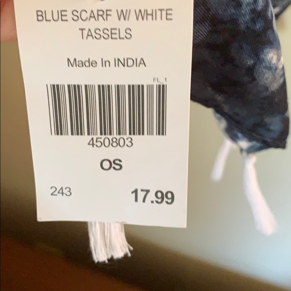 BNWT Blue & white tassel scarf - Picture 4 of 6